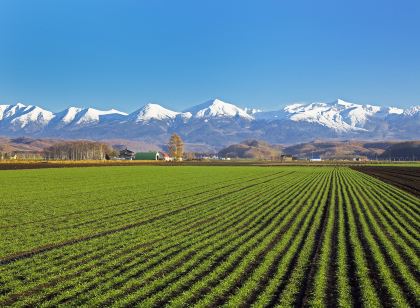 게스트하우스 이토