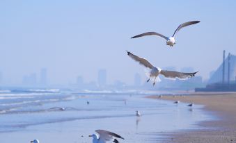 Marriott Yantai