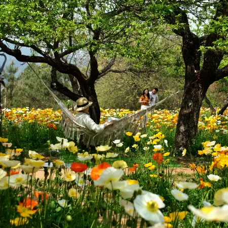 Kunming Papuman PAPMAN (Xishan Wanda)