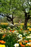 Kunming Papuman PAPMAN (Xishan Wanda) - Mountain view