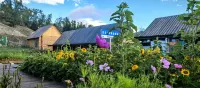 Kanas Dengni · Weiyang | Designer Boutique Stay (Kanas Old Village)