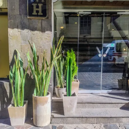 Kayara Cusco Hotel