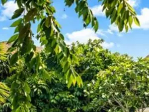 Populaire Instagramwaardige Hotels in Bali