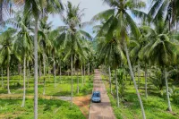 Beach Jungle - Koh Chang - bar