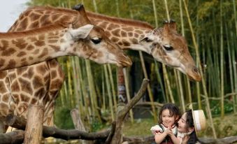 Giraffe Manor Hotel