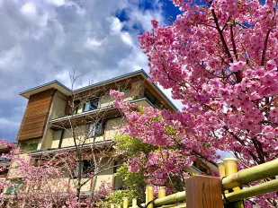 Kyoto Arashiyama Onsen Kadensho (Kyoritsu Resort)