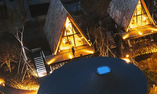 太倉七十二家村樹蛙部落