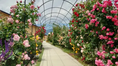 夢富士花之宿旅館 【僅限成人入住】 鄰近富士急ハイランド 第２入園口的酒店