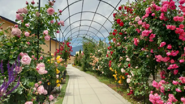 花の宿 夢富士【大人のみ宿泊可能】