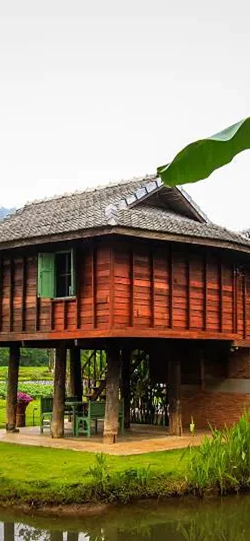 รูปภาพของหลองข้าวสะเมิง