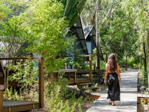 Selina Magnetic Island