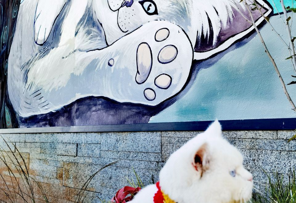 미드서머 클라우드 글로우 빌라 내부