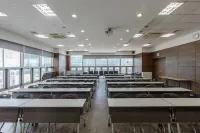 Palede cz Condor Busan