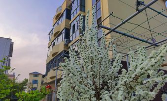 Hanyuan Sijiyuan Homestay
