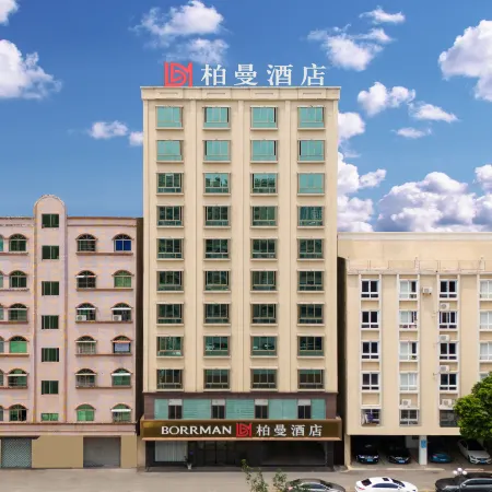 Borrman Hotel (Maoming Dianbai)