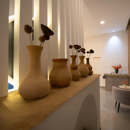 Turks Flip Pigeon Homestay