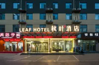 โรงแรมไลท์ลิฟวิ่ง โบฟา ซีเล็ค