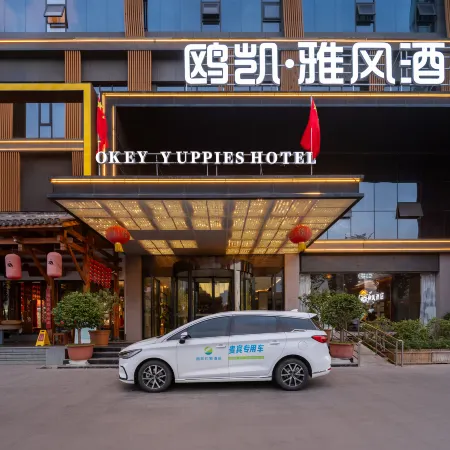 Nanyang Okey Elegant Style Hotel (Wanda Jianye Triumph Square Dushan Avenue Branch)
