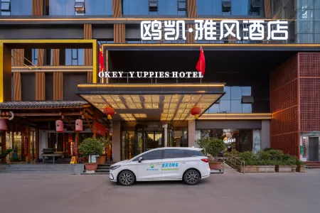 Oukai Yafeng Hotel (Nanyang Sports Center Jianye Kaixuan Square Branch) Отели рядом с достопримечательностью «Zhang Zhongjing Memorial Temple»