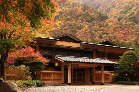 Nishiyama Onsen Keiunkan Отели в г. Хаякава