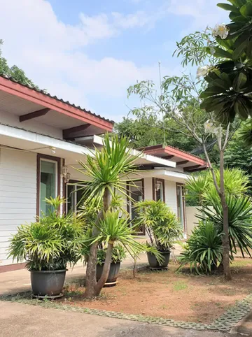 รูปภาพของซีบีช เกาะล้าน 3