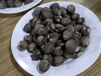 辛暹度假飯店 卡曼島附近的飯店