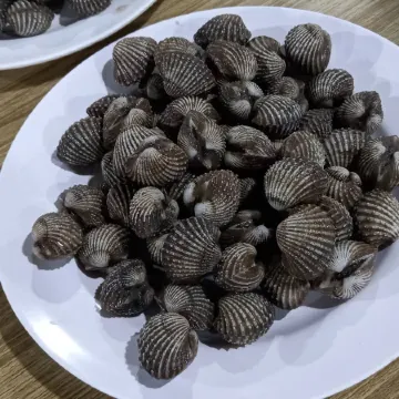 Sinsiam Resort Hotel