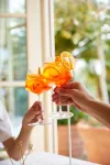 Hotel Villa Schuler - bar
