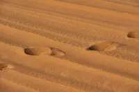 Zhongwei Shariwa Desert B&B - Romantic