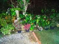 Uma Guest House Hotel in zona Sri Pushparama Temple