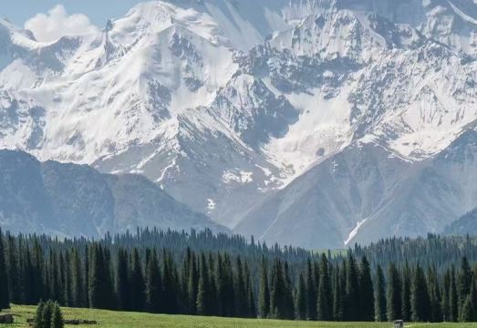 深山见·奢·林时有事Forest设计师度假民宿（喀纳斯景区店）外景图