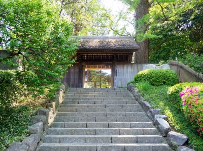 ホテル周辺 松戸グランドホテルの写真