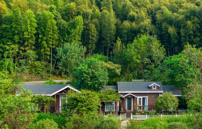 Dabieshan Camping Park Hotel