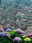 Xijiang Qianhu Miao Village Mijian Mountain Homestay - غرفة مطلة على الجبل