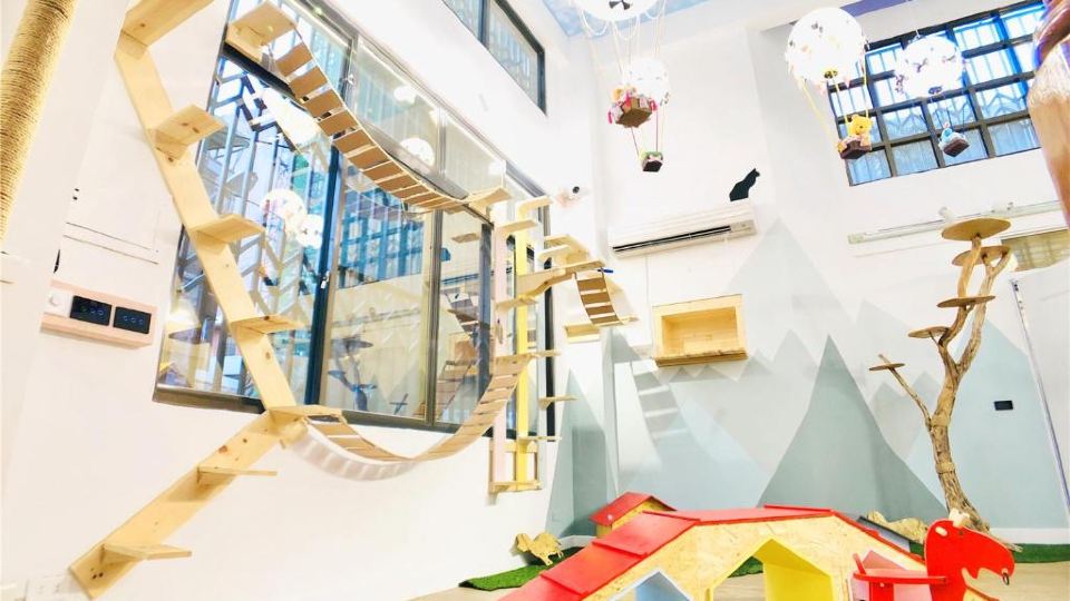 Snail Pets Homestay