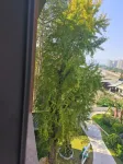 Zety Hotel (Fuzhou Yantai Branch) - โรแมนติก
