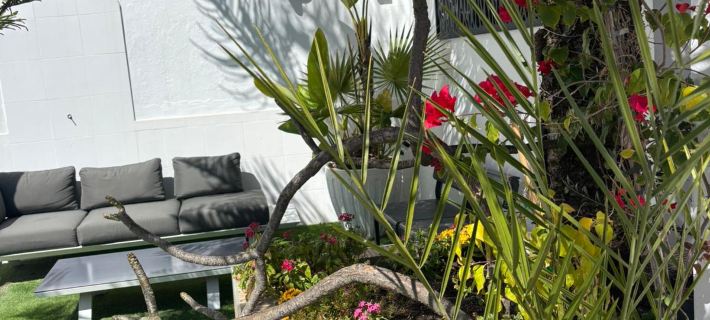 apartamentos abril Hotels in Nerja