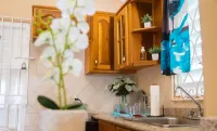 Private 1BR Villa • Gated Drax Hall • Near Dunn’s River Hotels in 