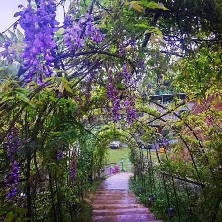 Shijiershang Homestay