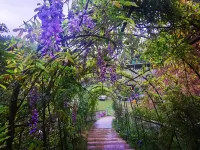 Shijiershang Homestay