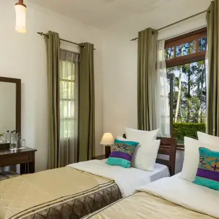 Olive Bungalow