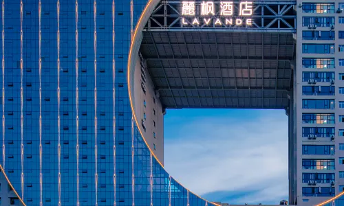 麗楓酒店(宜春明月之都店)