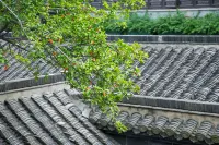 Juxianju Inn (Yangzhou Dongguan Street Geyuan Branch) - spa