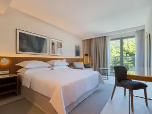 藍陽埃拉弗薩酒店