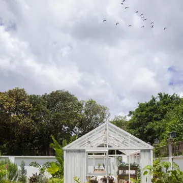 Aviator Villa