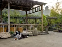 Xianju Wanwan Farm Stay - Farmhouses