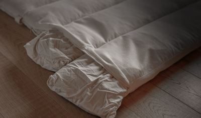 部屋タイプおまかせ 汀渚 ばさら邸の写真