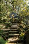 The Great Roots Forestry Spa Resort