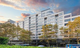 Syd Rydges Rydges Sydney Central (Sydney) - 2026 Prices, Reviews & Deals | Trip.com