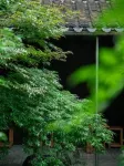 YEENJOY隱紳裡飯店（五一廣場潮宗古街店） 湖南財政經濟學院附近的飯店